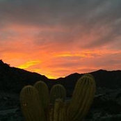 Michon Ingram's photo