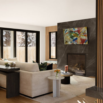 Contemporary Living Room Design with Black Marble Fireplace