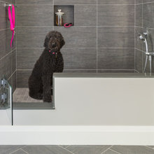 Dog Bathing Stations