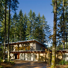 house in the woods