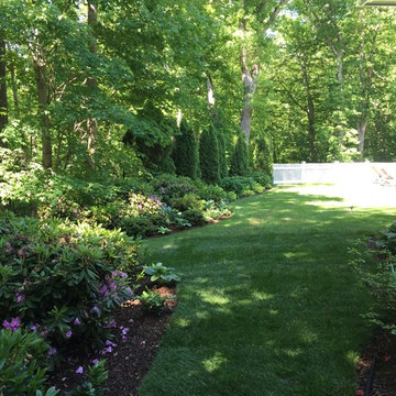 Beautiful Borders