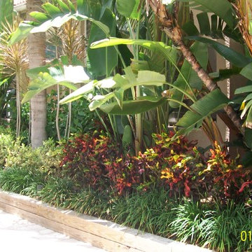 Siesta Key waterfront- landscape, terraced walls and pavers