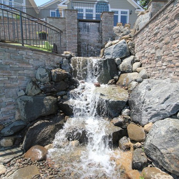 Pond Paradise Designs assorted photos