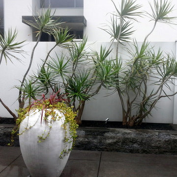 Compass Point ll