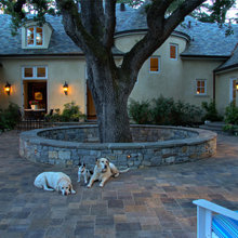 Exterior Ideas
