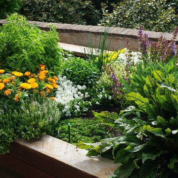 Urban Farms