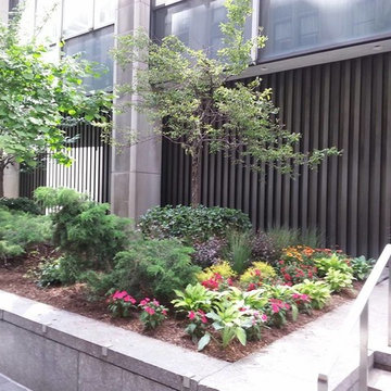 newyorkplantings: The Ultimate Garden Designer