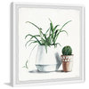 "Potted Green Plants" Framed Painting Print