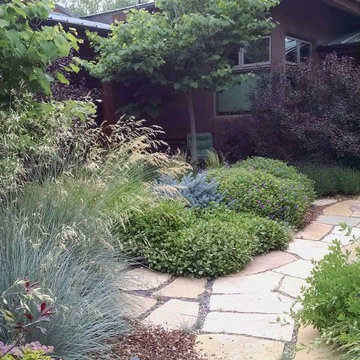 Paths