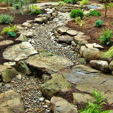 Front Yard Ideas