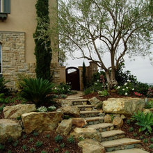 Landscape Ideas