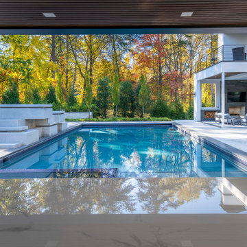 Modern Hillside Oasis