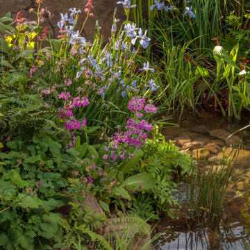 RHS Chelsea Flower Show 2024