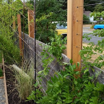 Green Trellis