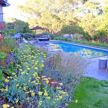 Mill Valley Hillside Garden
