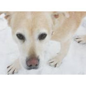 Keddie Loughrey's photo