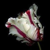 Laura Thom's photo