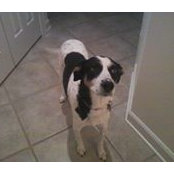 Katie Kokta's photo