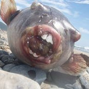 Barbara Casillas's photo