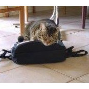 Katherine Rasmussen's photo