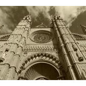 Darren Nelson's photo