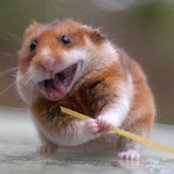 Ruth Newman's photo