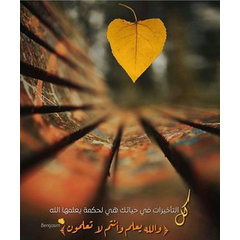 Abdullah Faisal Ban Shamlan
