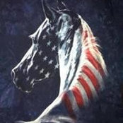Vicky L Feeney's photo