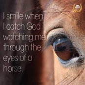 Barbara Reither's photo