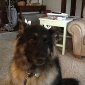 Susan Sears's photo