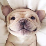 Kathy Loomis's photo