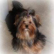Janet Blanchard's photo