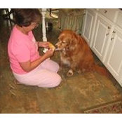 Faye Boles's photo