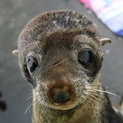 Tom Myers's photo