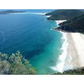 Debbie Rubbico's photo