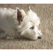 Jill LaChance's photo