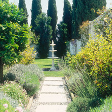 nola garden