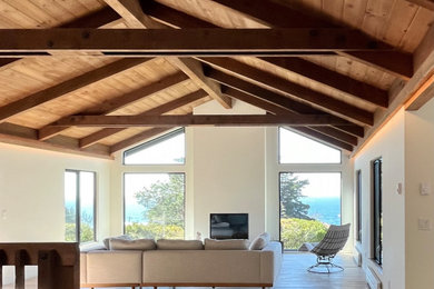 Inspiration for a modern loft-style light wood floor living room remodel in Other with a plaster fireplace