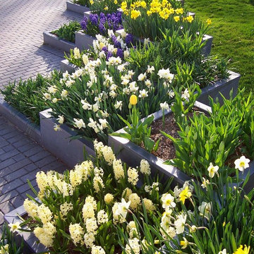 Modern Planter Boxes