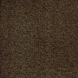 Nylon Carpet - Timeless Practical - Flooring