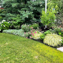 Landscape Ideas