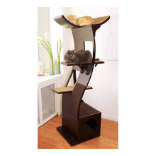 Cat Trees