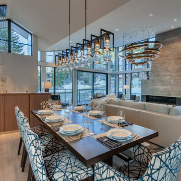 Aspen One