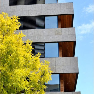 Bluestone Cladding 1