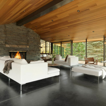 Modern Ski Home