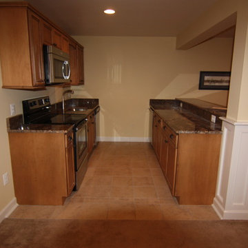 NV home basement build out