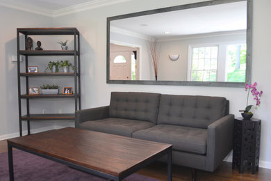 Example of a trendy living room design in New York