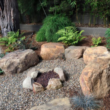 Backyard Update