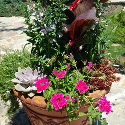 Landscaped Pots - Products