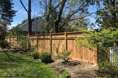 Backyard fence
